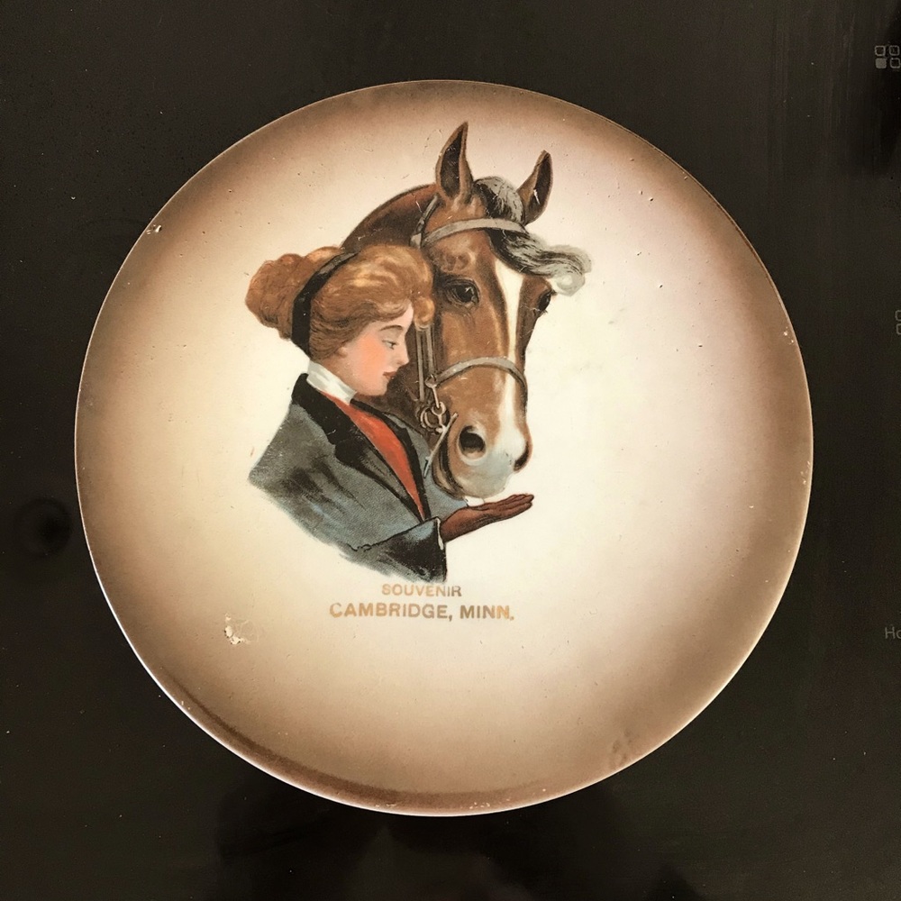 VINTAGE SOUVENIR HORSE CAMBRIDGE, MINN. PLATE